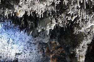 Archivo:Helictitas de calcita - Cueva de El Soplao