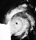 Hurricane Gladys of 1964.JPG