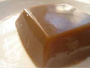 Archivo:Korean acorn jelly-Dotorimuk-05A