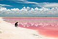 Las Coloradas 435436