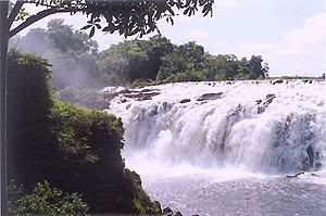 Archivo:Llovizna falls venezuela 1