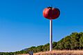 Miajadas, Capital Europea del Tomate