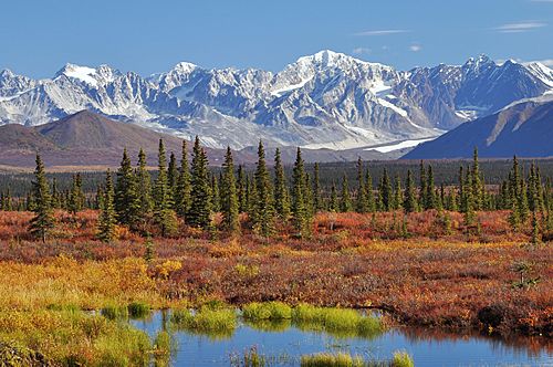 Archivo:Monahan Flat and the eastern Alaska Range mountains