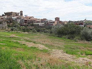 Montclar d'Urgell - 2013 - Vista.JPG