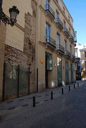 Archivo:Muralla nazarí