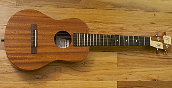 Mya-Moe mahogany ukulele