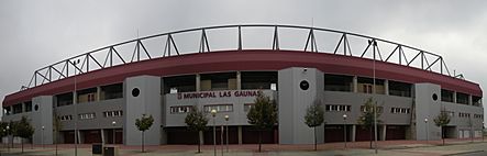 Panoramica Estadio Las Gaunas