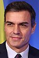 Pedro Sánchez 2019h (cropped)