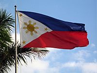 Archivo:Philippines flag