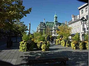 Archivo:Place Jacques-Cartier, Montreal 2005-10-21