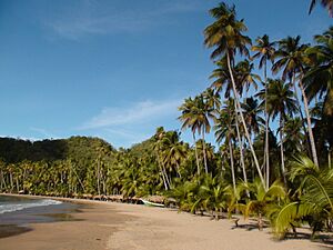 Archivo:Playa Medina 110514-2