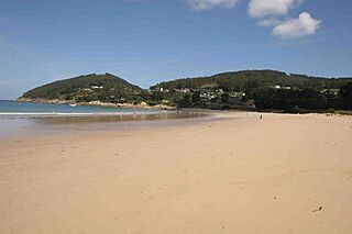 Praia Area Viveiro.jpg