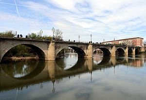 Archivo:Puente de Piedra Logrono