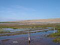 Salthouse Marsh - geograph.org.uk - 11720