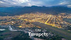 Archivo:Tarapotodronedji23