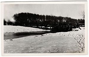 Archivo:Traverso puente