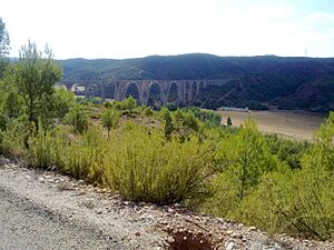 Archivo:Viaducto Estación de Enguidanos