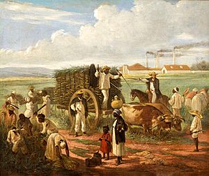 Archivo:Victor Patricio - Corte de Cana, 1874