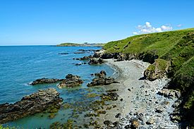 View from the Anglesey Coastal Path (geograph 6222502).jpg