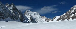 Archivo:Wikiecrins