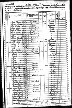 1860 census Lindauer Weber.jpg