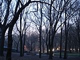 Anochecer en Central Park