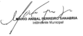 Asuncion Mayor 2015 Signature
