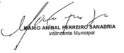 Asuncion Mayor 2015 Signature.png