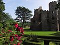 At Laugharne Castle - Grounds - geograph.org.uk - 3750185