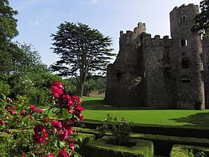 Archivo:At Laugharne Castle - Grounds - geograph.org.uk - 3750185