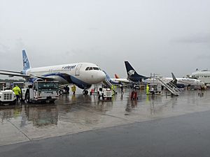 Archivo:Aviones en el Aeropuerto Internacional de Cancún