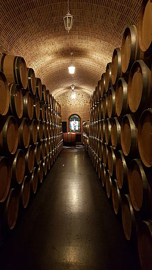 Archivo:Barricas Vino Bodegas Casajus Ribera del Duero