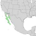 Bursera microphylla range map 1