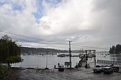 Burton, WA - Quartermaster Harbor 01.jpg