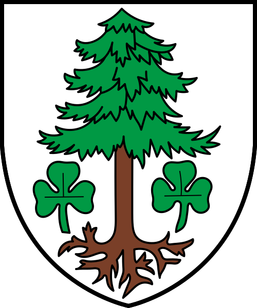 CHE Staldenried COA