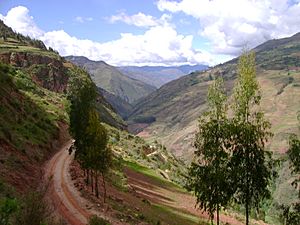 Archivo:Cañón del río Marañón 03246