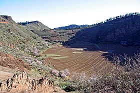 Caldera de los Marteles (2282651708).jpg