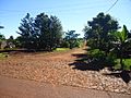 Calle Esteban Mielnik en Guaraní (Guaraní, Provincia de Misiones, Argentina)