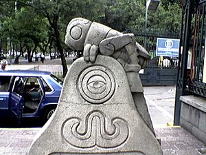 Archivo:Chapulin MAM MExico 1