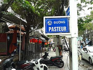 Archivo:Danang Vietnam rue Pasteur2