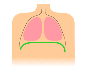 Archivo:Diaphragmatic breathing