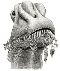 Archivo:Diplodocinae jmallon