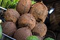 Dry Coconut001