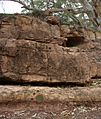 Ediacaran-GSSP-IMGP6652-