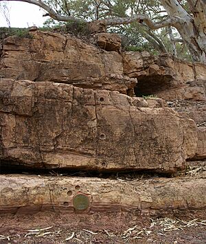 Archivo:Ediacaran-GSSP-IMGP6652-