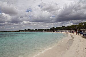 Archivo:Es Trenc, Mallorca, the beach
