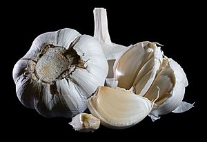 Archivo:Garlic Bulbs 2