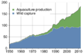 Global total fish harvest