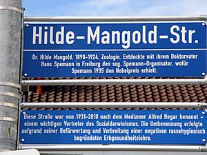 Archivo:Hilde-Mangold-Straße in Freiburg-Stühlinger, bis 2018 Hegarstraße, Straßenschilder