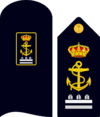 Infmaridivi07.svg